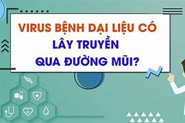 Bệnh Dại Có Lây Không