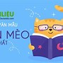 Bộ Đồ Con Mèo