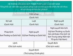 Hệ Thống Pháp Luật Và Văn Bản Pháp Luật Việt Nam